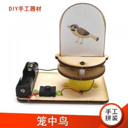 [星之河畔]笼中鸟 趣味电动玩具小学生DIY创意拼装科学手工小制...