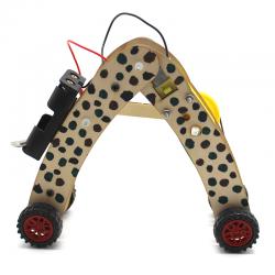 [星之河畔]虫子机器人 儿童创意木制DIY手工拼装模型玩具趣味科技小制作发明